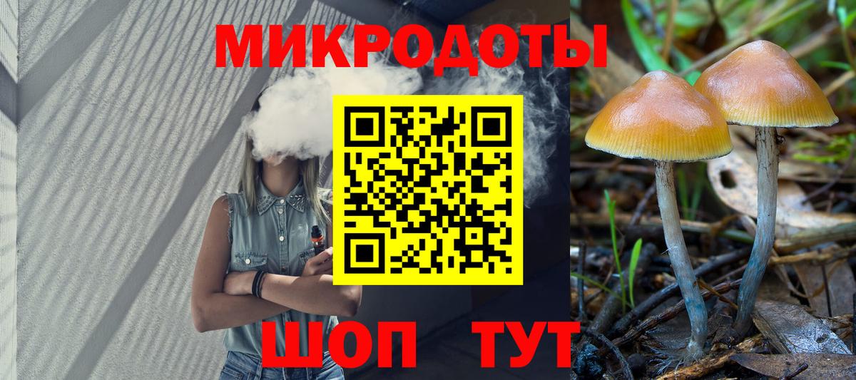 Галлюциногенные грибы Psilocybine cubensis Гурьевск